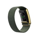 Pulsera de actividad Whoop 4.0 Superknit Luxe Band Ivy & Gold