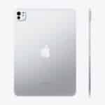 Apple iPad Pro 11 (M4) Wi-Fi + Cellular 2TB Silver with Standard Glass MVW83TYA (3)