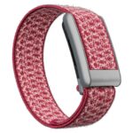 Whoop Cloudknit 5.0 (955-14-030-036-106) Nova - Correa (1)
