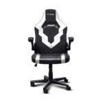 Silla gamer GXTrust GXT 703W Riye 25130 - Blanco