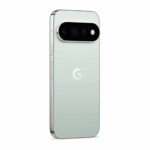 Google Pixel 11 Pro 256GB, Fog