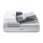 Mesa de trabajo 1 - 2026-08-20T152916.401